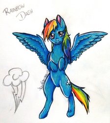 Size: 1024x1141 | Tagged: safe, artist:liswyn, rainbow dash, pony, g4, bipedal, female, solo, spread wings, traditional art