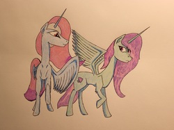 Size: 4392x3280 | Tagged: safe, artist:bumskuchen, oc, oc only, alicorn, pony, high res, request, traditional art