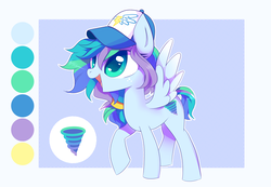 Size: 6398x4425 | Tagged: safe, artist:sorasku, oc, oc only, pegasus, pony, absurd resolution, cap, female, hat, mare, reference sheet, solo