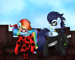 Size: 1024x819 | Tagged: safe, artist:northlights8, rainbow dash, soarin', pony, g4, chat noir, clothes, costume, crossover, duo, female, male, miraculous ladybug, ship:soarindash, shipping, straight