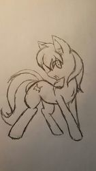 Size: 675x1200 | Tagged: safe, artist:steelsoul, oc, oc only, oc:mind sight, earth pony, pony, cutie mark, happy, male, sketch, smiling, solo, stallion