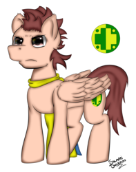 Size: 1596x2024 | Tagged: safe, artist:salamishowdown, oc, oc only, oc:morphius, pegasus, pony, cape, clothes, cutie mark, male, simple background, solo, stallion, transparent background