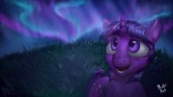 Size: 1024x576 | Tagged: safe, artist:pastelpupils, twilight sparkle, g4, aurora borealis, female, looking up, night, open mouth, smiling, solo, stars