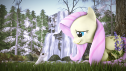 Size: 2560x1440 | Tagged: safe, artist:redaceofspades, fluttershy, rabbit, g4, 3d, cute, female, forest, shyabetes, solo, source filmmaker, tree, waterfall