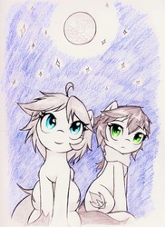 Size: 2550x3507 | Tagged: safe, artist:elusiveautumn, oc, oc only, earth pony, pegasus, pony, high res, traditional art
