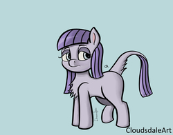 Size: 9020x7080 | Tagged: safe, artist:cloudsdaleart, maud pie, g4, absurd resolution, blank flank, chest fluff, female, filly, long tail, missing accessory, solo