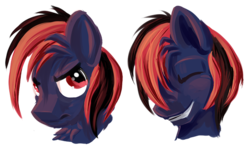 Size: 600x351 | Tagged: safe, artist:tiothebeetle, oc, oc only, pony, bust, expressions, male, portrait, simple background, smiling, solo, stallion, transparent background