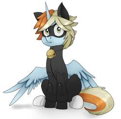 Size: 937x920 | Tagged: safe, artist:chibadeer, oc, oc only, oc:professor dickinson, alicorn, pony, chat noir, clothes, cosplay, costume, male, miraculous ladybug, simple background, sitting, solo, stallion, white background