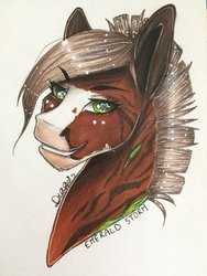 Size: 1024x1365 | Tagged: safe, artist:drago-draw, oc, oc only, bust, commission, portrait, solo, traditional art