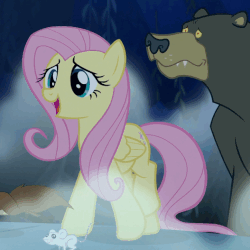Size: 527x527 | Tagged: safe, screencap, fluttershy, harry, bear, mouse, pony, squirrel, 28 pranks later, g4, animated, cropped, cute, gif, happy, shyabetes, talking, walk cycle, walking