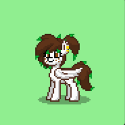 Size: 832x828 | Tagged: safe, oc, oc only, oc:fervida rossa, pegasus, pony, pony town, green background, simple background, solo