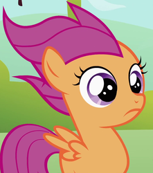 Size: 832x940 | Tagged: safe, screencap, scootaloo, pegasus, pony, g4, the cutie pox, blank flank, cropped, female, filly, foal, frown, solo, spread wings, windswept hair, windswept mane, wings