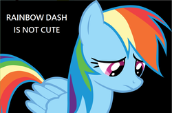 Size: 1102x722 | Tagged: safe, rainbow dash, g4, background pony strikes again, black background, blatant lies, female, op is a duck, opinion, sad, simple background, solo