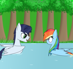 Size: 1600x1500 | Tagged: safe, artist:rai2n, rainbow dash, soarin', pony, g4, behaving like a bird, blushing, male, pegaduck, pond, ship:soarindash, shipping, straight