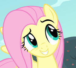 Size: 466x412 | Tagged: safe, screencap, fluttershy, pony, bats!, g4, season 4, cropped, cute, female, mare, smiling, solo