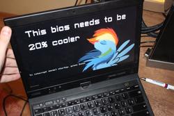 Size: 1024x683 | Tagged: safe, rainbow dash, g4, 20% cooler, bios, computer, laptop computer, ponified, thinkpad
