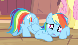 Size: 629x360 | Tagged: safe, screencap, fluttershy, rainbow dash, pony, bats!, g4, cropped, crying