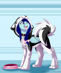 Size: 1280x1526 | Tagged: safe, artist:pinktabico, oc, oc only, oc:snow feather, husky, pegasus, pony, behaving like a dog, bowl, clothes, collar, costume, cute, female, furry, mare, open mouth, patreon reward, pet bowl, solo, tongue out
