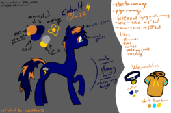Size: 3276x2163 | Tagged: safe, artist:cobaltblaze93, artist:fenixthefox93, oc, oc only, oc:cobalt blaze, pony, unicorn, clothes, digital art, glasses, high res, hoodie, looking at you, male, reference sheet, solo