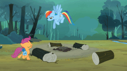 Size: 595x335 | Tagged: safe, screencap, rainbow dash, scootaloo, bird, duck, pony, g4, sleepless in ponyville, animated, bag, bipedal, campfire, epic fail, fail, female, flying, forest, gif, gritted teeth, lip bite, log, nature, pain, river, rock, roll, saddle bag, scootacrash, scrunchy face, splash, stars, teeth, tree, trip, tripping, water, wings