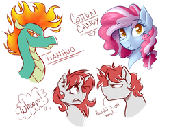 Size: 4000x3000 | Tagged: safe, artist:rubywave32, tianhuo (tfh), oc, oc:cotton candy, oc:ruby, dragon, earth pony, hybrid, longma, pony, unicorn, them's fightin' herds, bust, community related, female, male, mane of fire, mare, offspring, parent:pinkie pie, parent:pokey pierce, parents:pokeypie, rule 63, simple background, stallion, white background