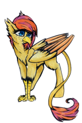 Size: 720x1080 | Tagged: safe, artist:pepperscratch, oc, oc only, oc:shiva, classical hippogriff, hippogriff, female, simple background, solo, traditional art, transparent background