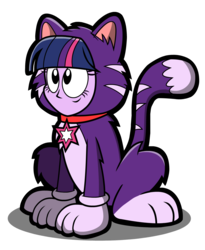 Size: 1215x1485 | Tagged: safe, artist:kingtoby19, twilight sparkle, cat, equestria girls, g4, animal costume, cat costume, clothes, costume, female, simple background, solo, transparent background