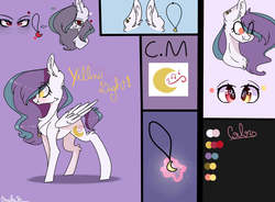 Size: 1093x804 | Tagged: safe, artist:erinartista, oc, oc only, oc:yellow light, pegasus, pony, engrish, reference sheet, solo