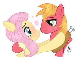 Size: 1180x910 | Tagged: safe, artist:joakaha, big macintosh, fluttershy, earth pony, pony, g4, blushing, heart, male, ship:fluttermac, shipping, signature, simple background, stallion, straight, white background