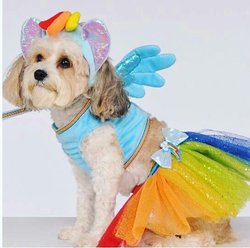 Size: 542x538 | Tagged: safe, rainbow dash, dog, g4, official, clothes, costume, irl, merchandise, photo, rubie's, why