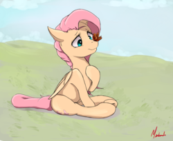 Size: 1100x900 | Tagged: safe, artist:miokomata, fluttershy, butterfly, pegasus, pony, g4, cross-eyed, cute, female, folded wings, grass field, hoof on chest, insect on nose, looking at something, mare, scenery, shyabetes, signature, sitting, solo, underhoof