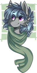 Size: 723x1436 | Tagged: safe, artist:tay-niko-yanuciq, oc, oc only, pony, bust, clothes, male, portrait, scarf, simple background, solo, stallion, transparent background