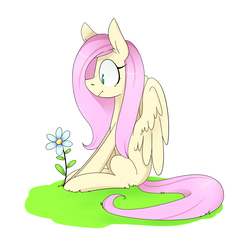 Size: 1600x1514 | Tagged: safe, artist:shootinstarchan, fluttershy, pony, g4, female, flower, looking at something, looking down, missing cutie mark, profile, simple background, sitting, solo, white background