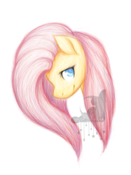 Size: 2048x2732 | Tagged: safe, artist:reixxie, fluttershy, pony, g4, bust, female, high res, looking at you, looking up, portrait, simple background, smiling, solo, watermark, white background