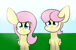 Size: 750x500 | Tagged: safe, artist:sugarcloud12, fluttershy, g4, butterscotch, duo, impossibly large ears, looking at you, love in kindness, rule 63, self ponidox