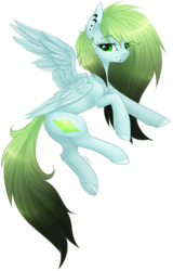 Size: 1025x1601 | Tagged: safe, artist:doekitty, oc, oc only, pegasus, pony, female, mare, simple background, solo, transparent background