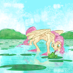Size: 800x800 | Tagged: safe, artist:sun-shimmer, fluttershy, frog, pony, g4, female, lilypad, pond, solo, water