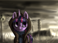 Size: 1358x999 | Tagged: safe, artist:not-ordinary-pony, twilight sparkle, alicorn, pony, g4, cheek fluff, chernobyl, clothes, crossover, ear fluff, female, hood, looking back, radiation sign, s.t.a.l.k.e.r., smiling, solo, twilight sparkle (alicorn)