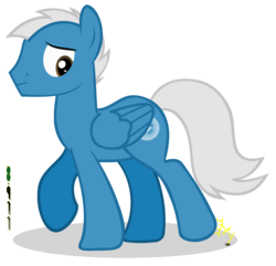 Size: 1024x987 | Tagged: safe, artist:priceless911, oc, oc only, oc:cirrus cloud, pegasus, pony, looking back, looking down, male, raised hoof, simple background, solo, stallion, transparent background