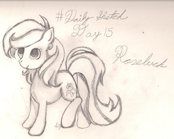 Size: 1447x1160 | Tagged: safe, artist:silversthreads, roseluck, earth pony, pony, g4, background pony, daily sketch, female, mare, sketch, solo, traditional art