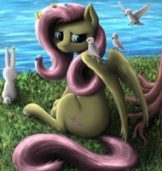 Size: 2057x2172 | Tagged: safe, artist:vladimir-olegovych, angel bunny, fluttershy, bird, pegasus, pony, g4, grass, high res, looking back, sitting, smiling, water