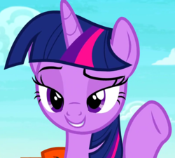 Size: 800x720 | Tagged: safe, screencap, twilight sparkle, alicorn, pony, g4, ppov, cropped, female, lidded eyes, mare, solo, twilight sparkle (alicorn)