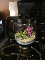 Size: 3024x4032 | Tagged: safe, twilight sparkle, g4, coffee pot, high res, irl, marbles, photo, toy