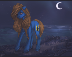 Size: 1254x1000 | Tagged: safe, artist:orfartina, oc, oc only, earth pony, pony, braid, female, mare, moon, night, ocean, solo