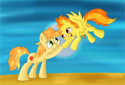 Size: 3358x2280 | Tagged: safe, artist:brok-enwings, braeburn, spitfire, g4, high res, looking at each other, male, shipping, spitburn, straight
