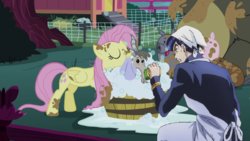 Size: 1024x576 | Tagged: safe, edit, edited screencap, screencap, harry, bear, beaver, goat, human, pegasus, pig, pony, g4, cleaning, crossover, duo, female, fence, jojo's bizarre adventure, josuke higashikata, mare