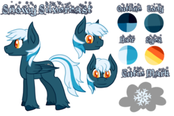 Size: 900x600 | Tagged: safe, artist:timid tracks, oc, oc only, oc:snowy silvercast, pegasus, pony, cloud, colored pupils, cutie mark, gradient, gradient eyes, male, reference sheet, solo, stallion, unshorn fetlocks
