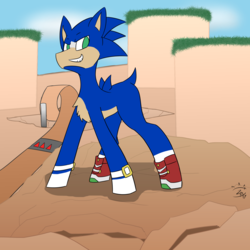 Size: 1920x1920 | Tagged: safe, artist:glassmenagerie, earth pony, pony, green hill zone, male, ponified, smiling, smirk, solo, sonic the hedgehog, sonic the hedgehog (series)
