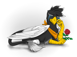 Size: 2716x2007 | Tagged: safe, artist:alexispaint, oc, oc only, oc:angelio pennelo, griffon, bandana, clothes, crying, flower, high res, rose, scarf, simple background, solo, white background