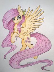 Size: 1024x1348 | Tagged: safe, artist:dexterisse, fluttershy, pony, g4, blushing, chest fluff, female, flying, simple background, solo, traditional art